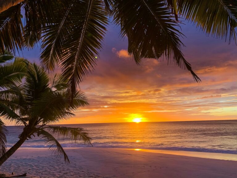 10 Zanzibar travel tips you’ll wish you knew before you went