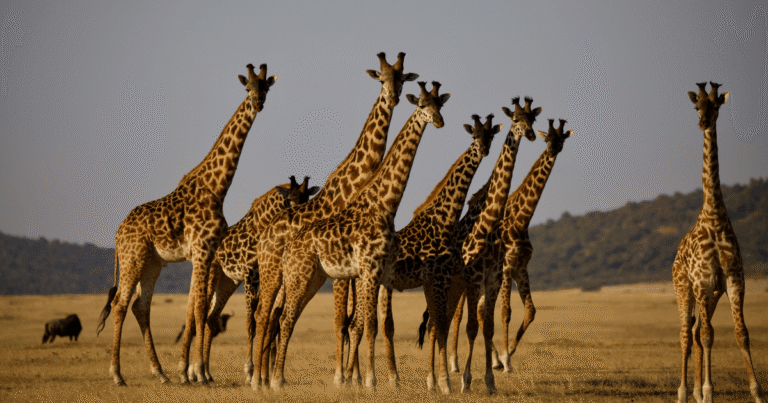 5 overrated Zanzibar attractions (and the hidden gems we loved instead)