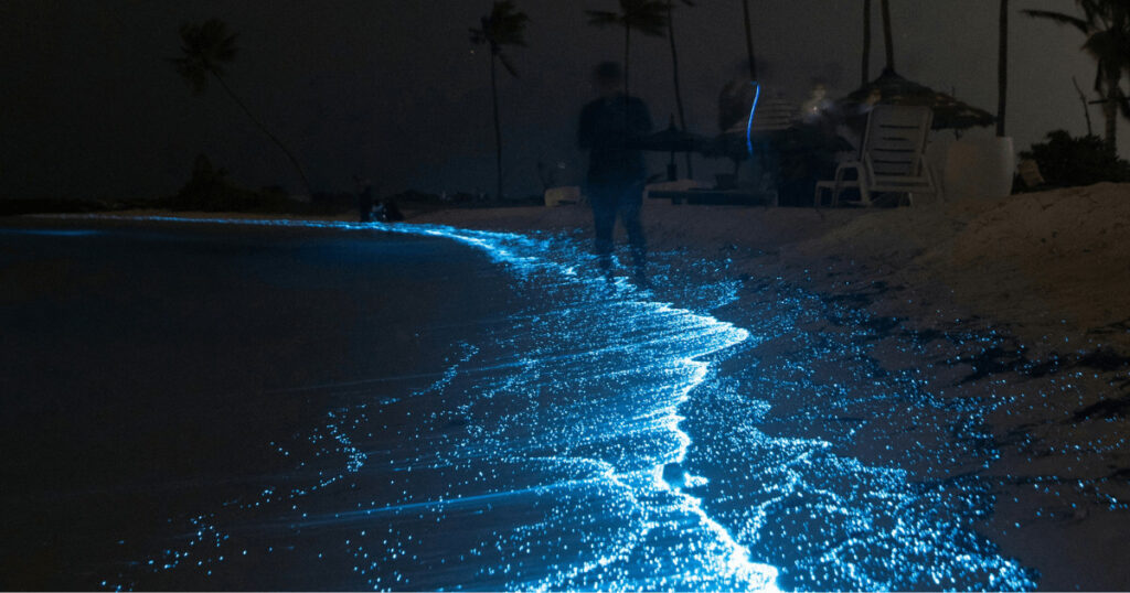 Luxury honeymoon Zanzibar