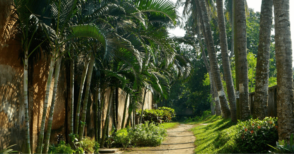 Luxury Zanzibar experiences