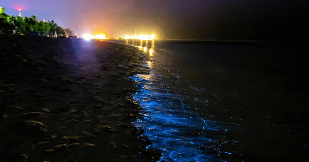 Romantic Zanzibar experiences 