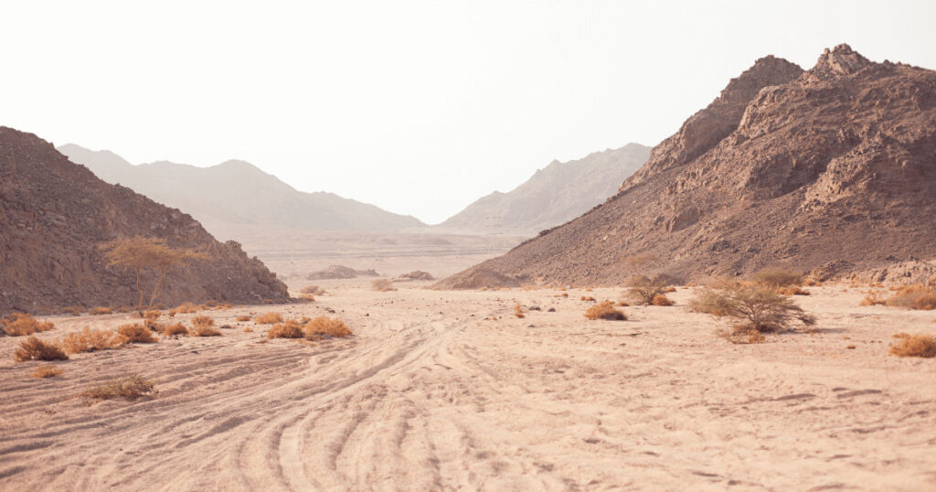 Desert safari in Hurghada with ATVs and Bedouin experience — one of the top Hurghada travel tips for first-time visitors