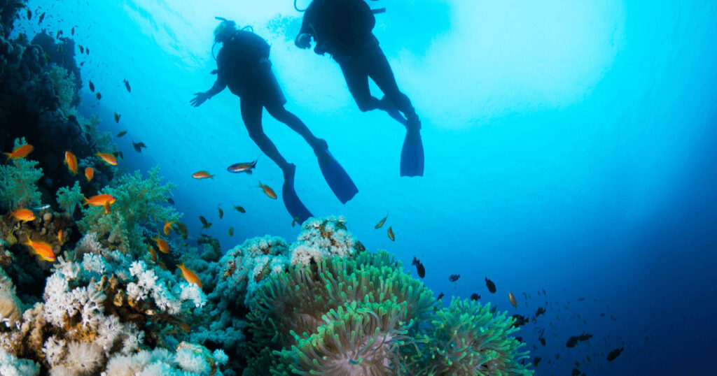 Scuba diving in Hurghada, exploring Red Sea marine life — a must-do Hurghada experience for travelers seeking adventure.