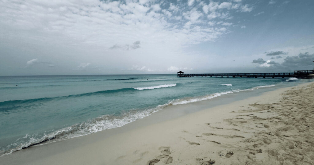 Rain-refreshed Dominican rainforest — lush green landscapes perfect for crowd-free, authentic travel.