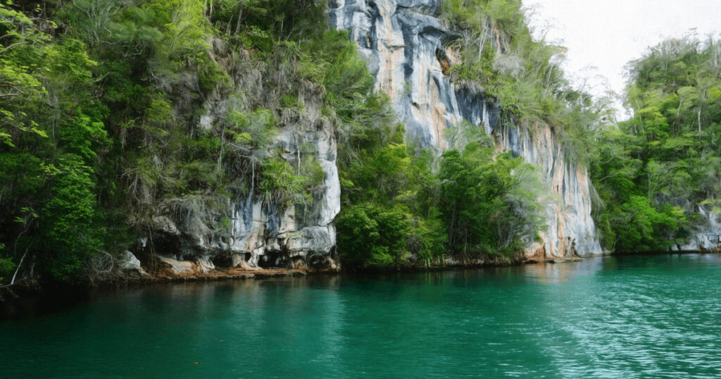 Mangroves and limestone cliffs of Los Haitises National Park, one of the most fascinating natural places to visit in the Dominican Republic.