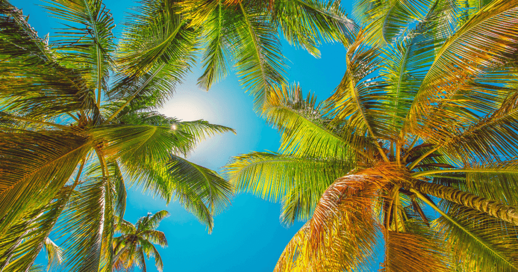 Things to do Dominican Republic