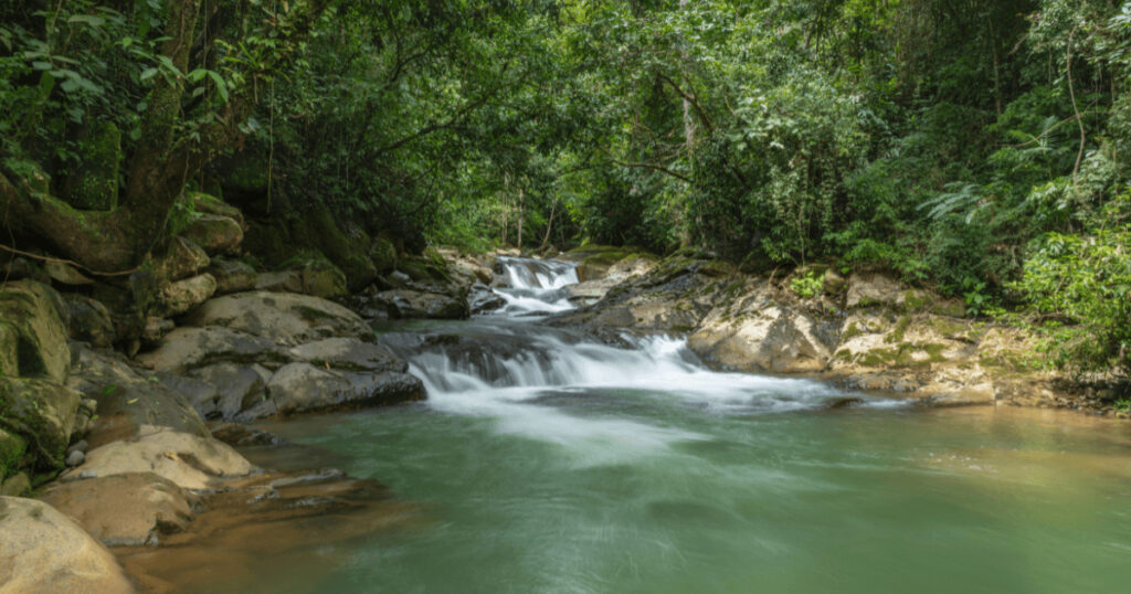 Bahía de las Águilas pristine beach — remote, crystal-clear waters far from the crowds.
