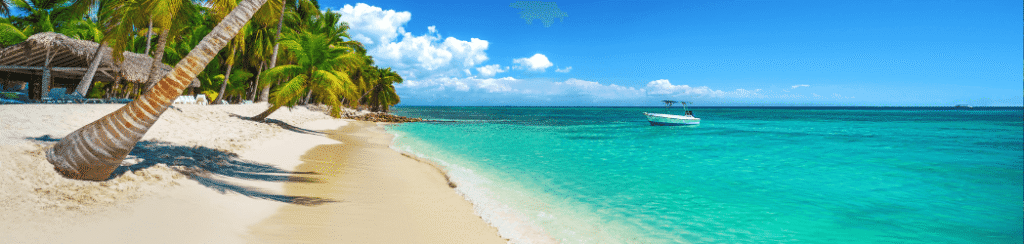 Aerial view of palm-fringed beaches and turquoise waters in the Dominican Republic, showcasing Caribbean paradise