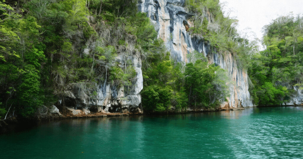Ancient caves and Taino petroglyphs showcasing Dominican culture in Los Haitises National Park