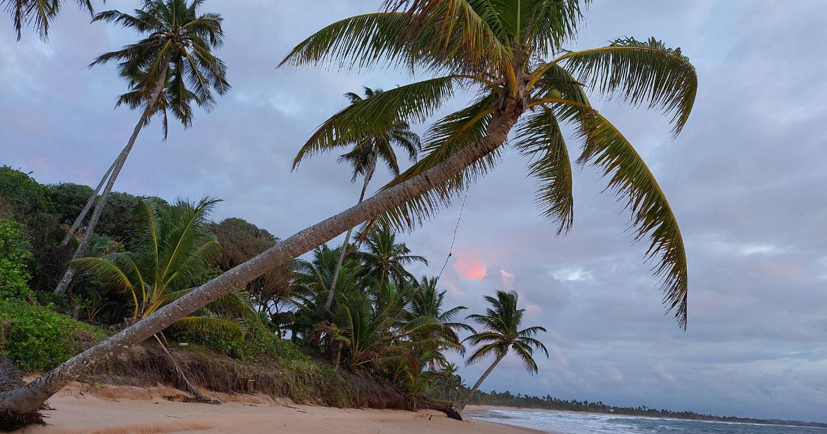 dominican republic tourist resort beach safe
